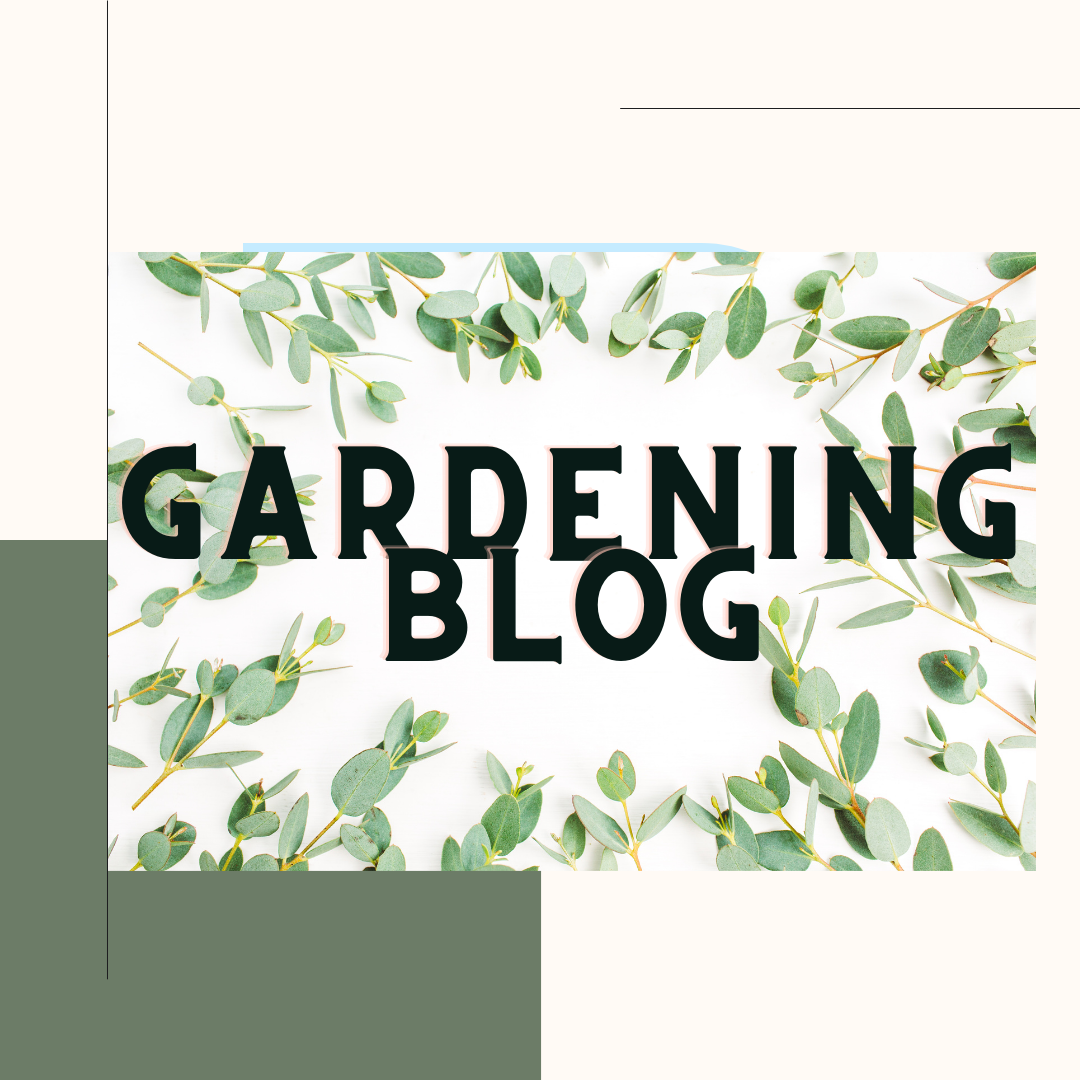 Gardening Blog